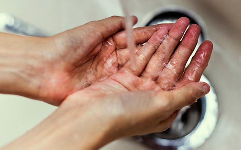 Secretaría de Seguridad Alimentaria y Nutricional 