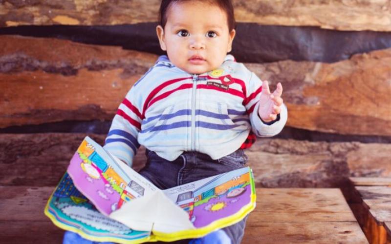 Secretaría de Seguridad Alimentaria y Nutricional 