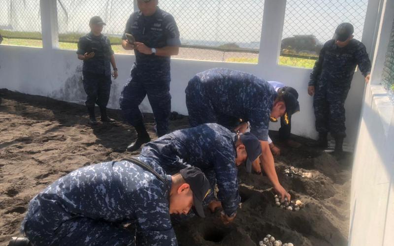 Ejército de Guatemala inauguró un tortugario y área de encaminamiento para avistamiento de aves en Escuintla.