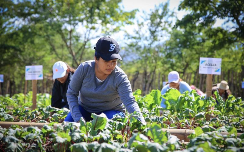 Huerto Comunal El Jícaro