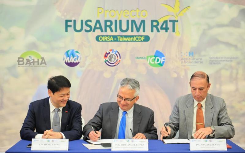 Firman convenio para prevenir el Fusarium en las plantaciones de banano y plátano