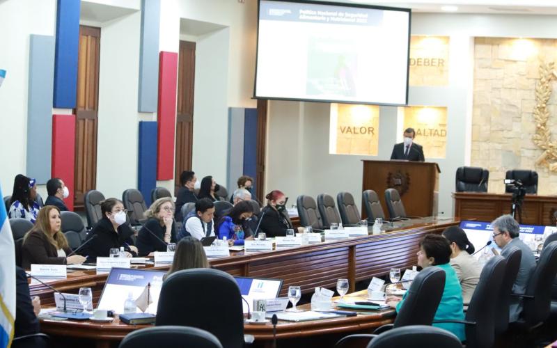 Secretaría de Seguridad Alimentaria y Nutricional 