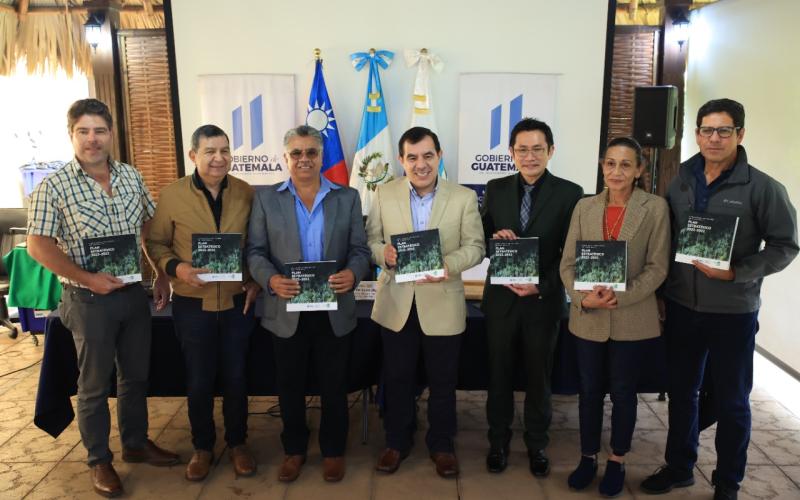 Guatemala se convierte en referente para la industrialización del Bambú 