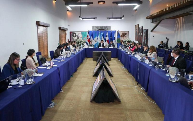 El ministro Rosales (Centro) presidió la reunión.