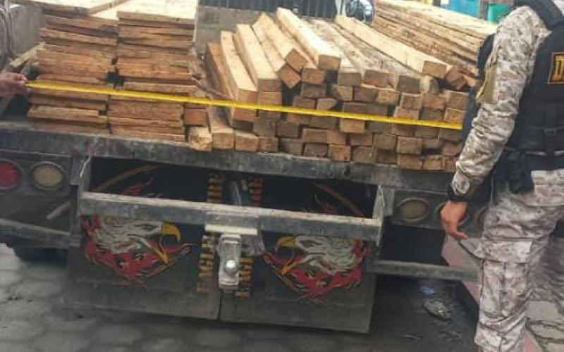 Diprona reporta capturas por recolección y traslado de producto forestal de forma ilegal