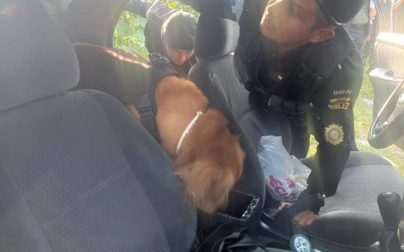 DIDAE decomisa armas de fuego en inspección de vehículo