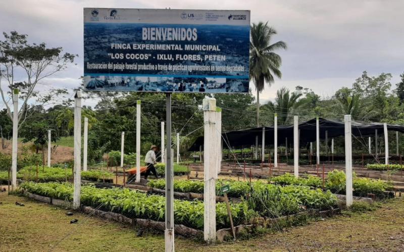 MARN verifica viveros forestales municipales en Petén