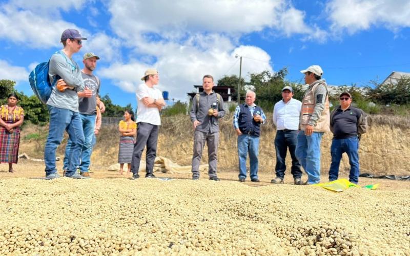 Café de San Juan Sacatepéquez explora el mercado de Estados Unidos 