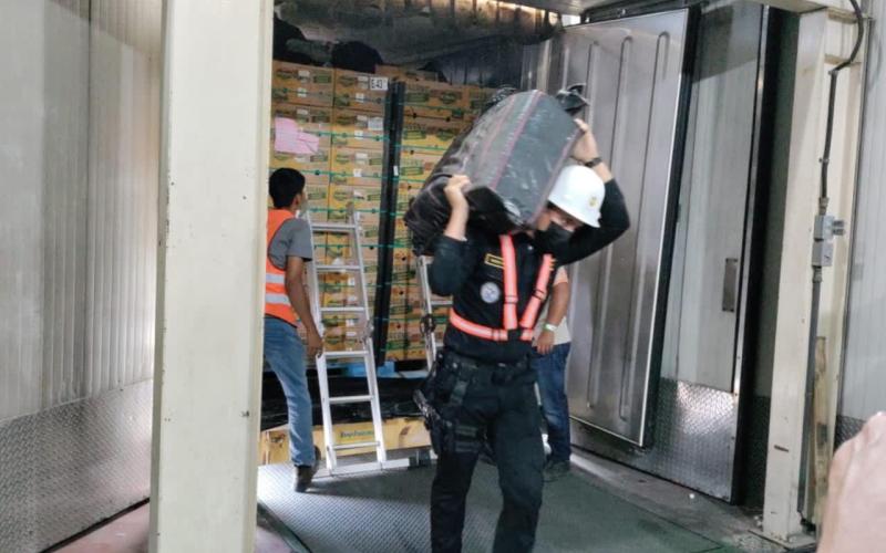 Antinarcóticos suma en primeros días de 2023 más de Q132 millones en incautaciones y erradicaciones