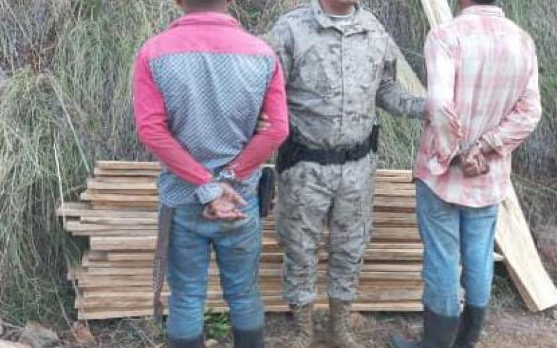 Capturan dos personas por tala ilegal de producto forestal