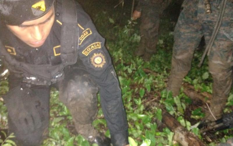 Avalúo de erradicación de plantaciones de arbustos de hoja de coca asciende a más de Q5 millones