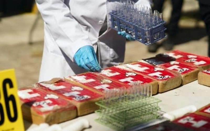 Transparentan procesos de incautación de droga para su destrucción