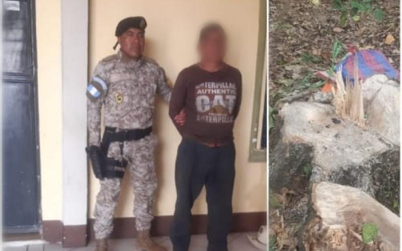 Diprona captura a una persona por tala ilegal de producto forestal