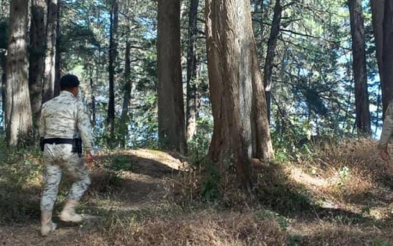 Diprona localiza y decomisa producto forestal en Alta Verapaz