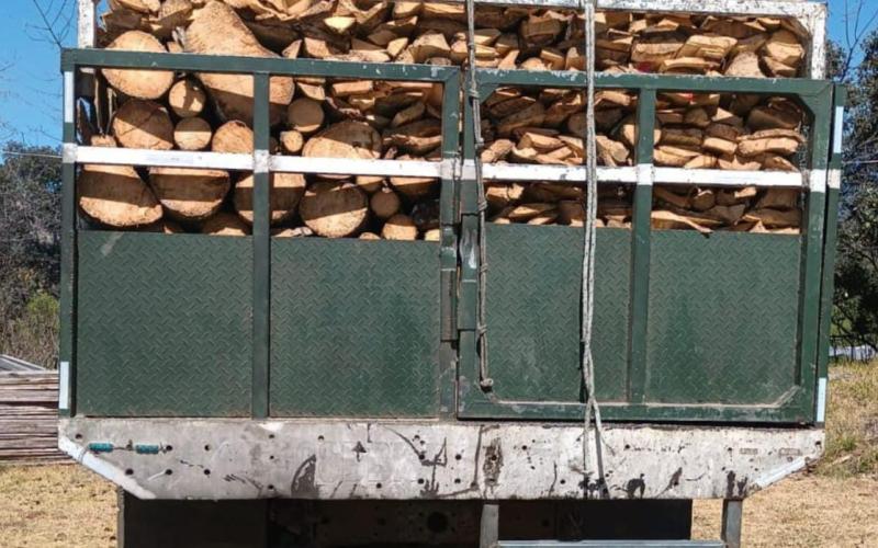 Capturan a persona por transportar de forma ilícita producto forestal
