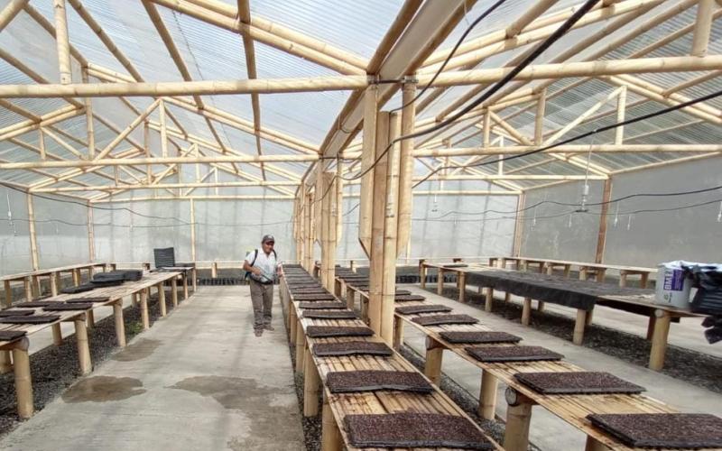 Baja Verapaz desarrolla proyecto agroforestal