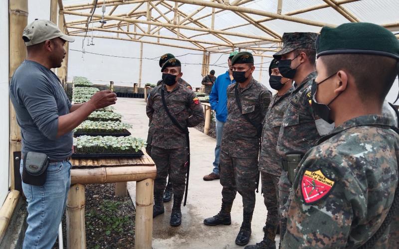 Soldados proyectan la siembra de 350,000 árboles durante el 2023.