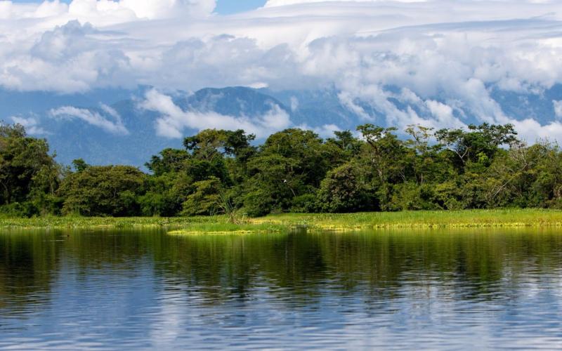 Humedales: Un recurso elemental para la vida y la naturaleza