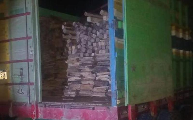 Capturan a dos personas por tala y transporte ilegal de producto forestal