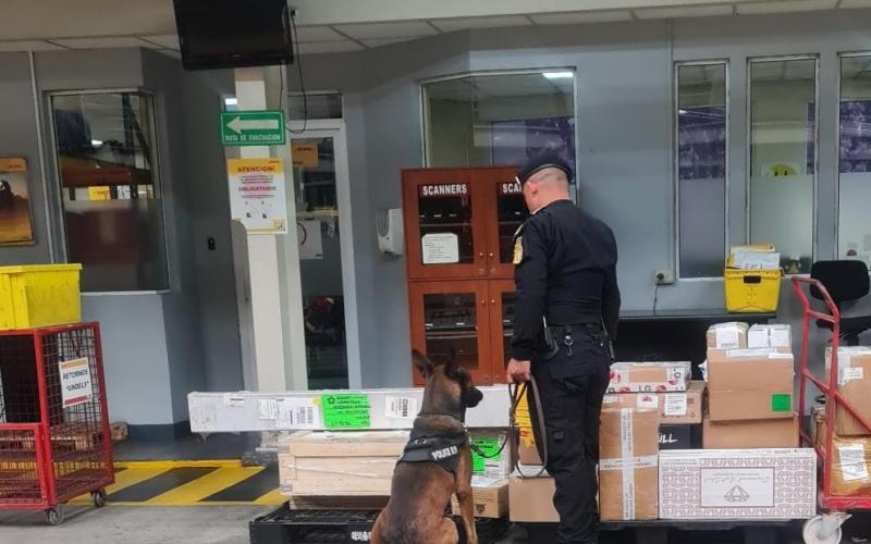 Decomisan cocaína en caja de encomiendas