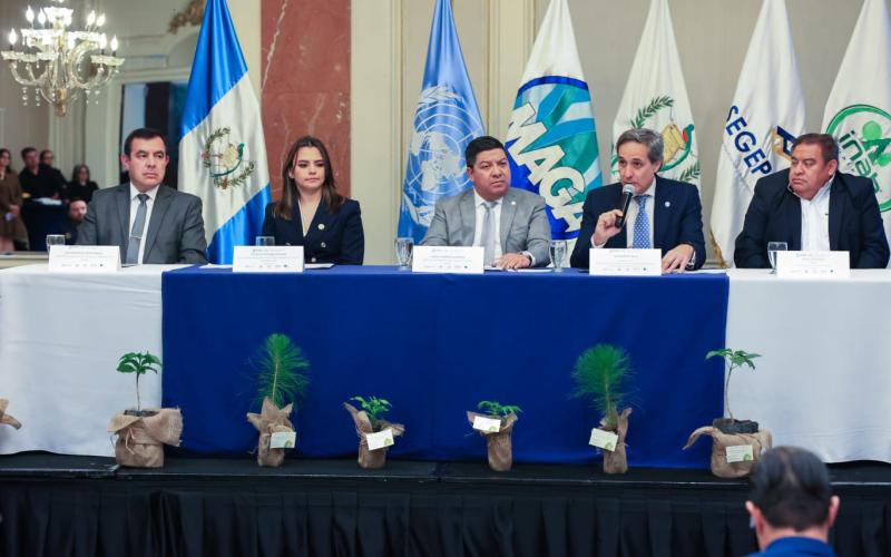 Guatemala y FAO fortalecen medios de vida de familias rurales en el país