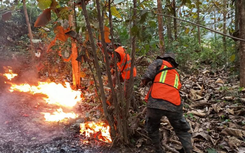 1,552 soldados guatemaltecos, se mantienen en apresto para el sofocamiento de incendios forestales
