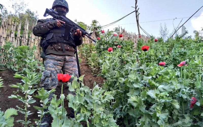 Operaciones interinstitucionales contra el narcotráfico generan resultados positivos durante las últimas 24 horas.