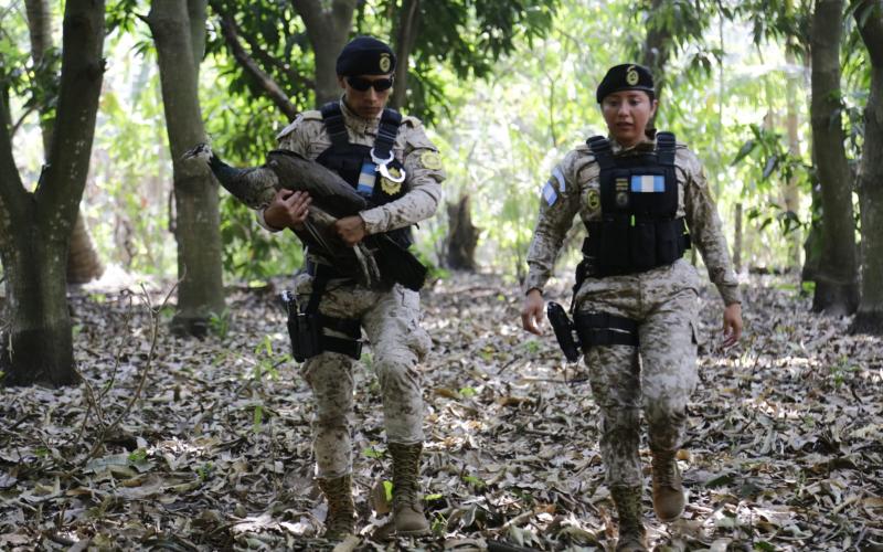 Mingob fortalece esfuerzos para la protección de la vida silvestre