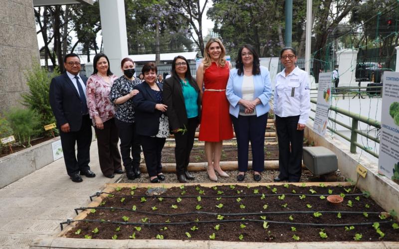 Primera siembra de Huerto Pedagógico en Planta Central del Ministerio de Educación