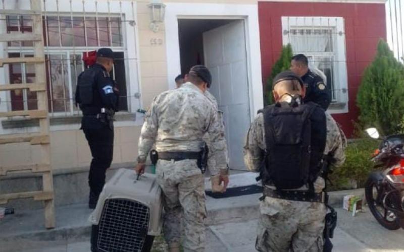 Rescatan una especie de la vida silvestre en Palencia