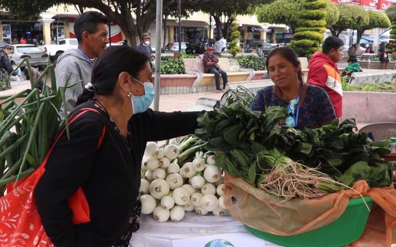 Día Orgánico para promover la alimentación saludable
