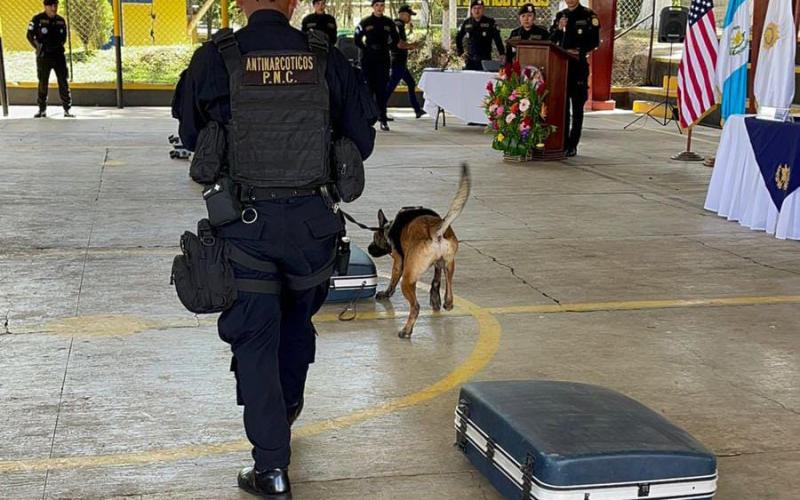 Guías K-9 fortalecen capacidades en detección de ilícitos