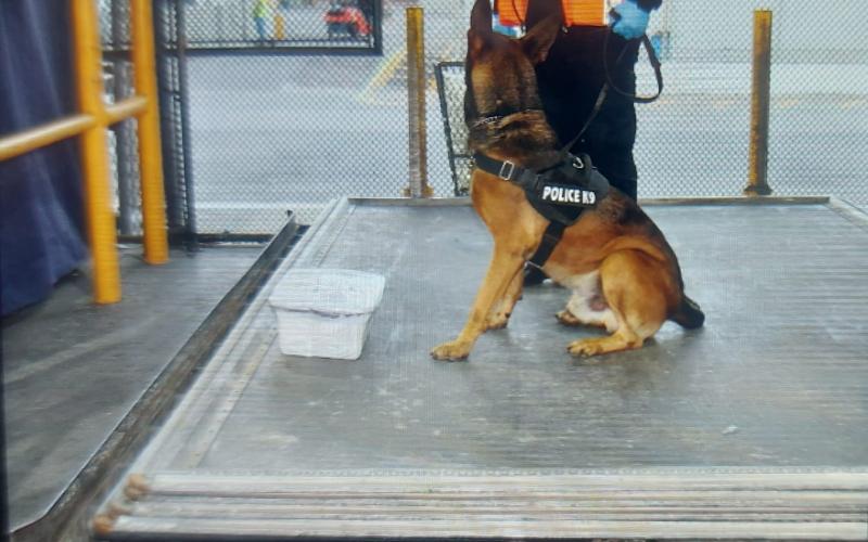 Incautan cocaína en encomienda con destinado a Estados Unidos