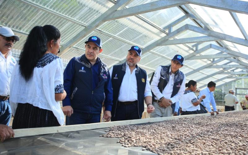 Fortalecen producción de cacao Santa Catalina La Tinta