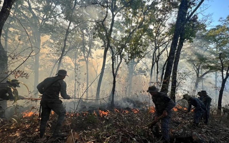 Ejército de Guatemala ha contribuido en el sofocamiento de 47 incendios forestales, durante la temporada 2022-2023.