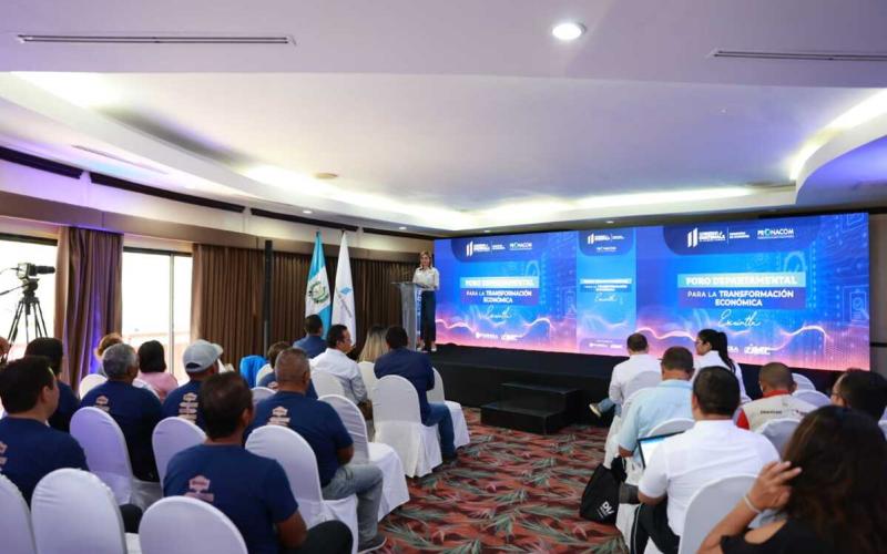 La viceministra de Inversión y competencia, Francisca Cárdenas, durante su participación.