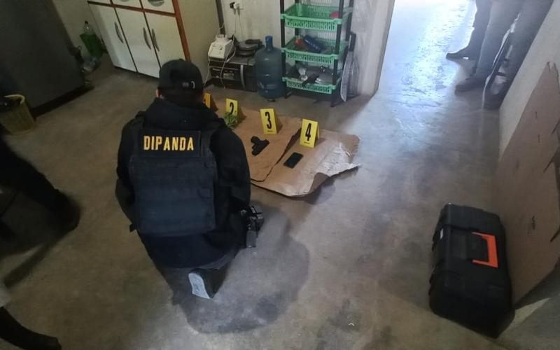 Alias “Gato” es detenido por tener matas de marihuana y un arma de fuego ilegal 
