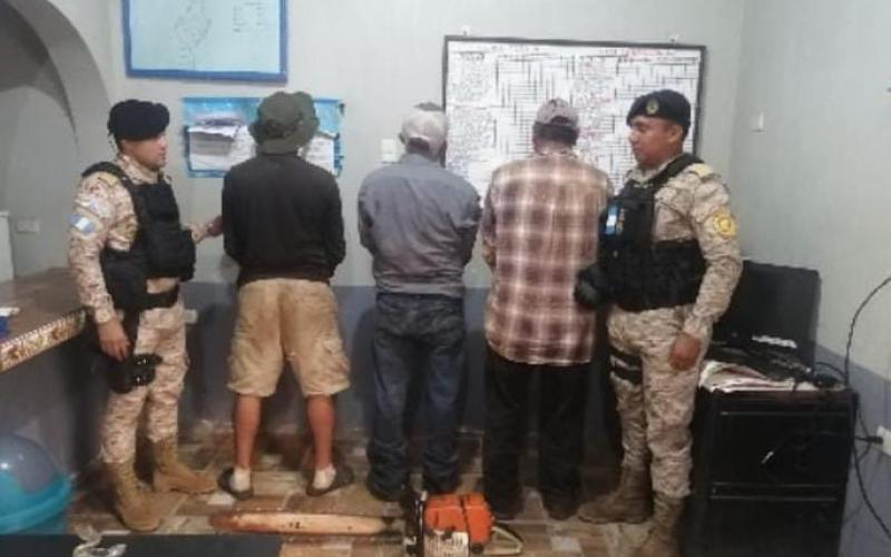 Capturan en Santa Rosa a tres personas por tala ilegal de flora silvestre