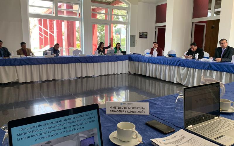 Integrantes de la Mesa 