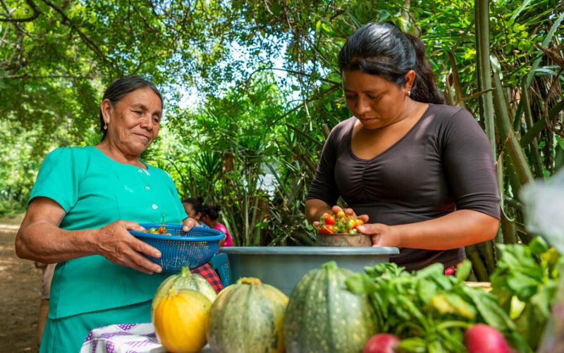 Sistemas alimentario sostenibles