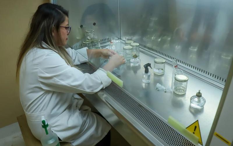 Laboratorio in vitro 