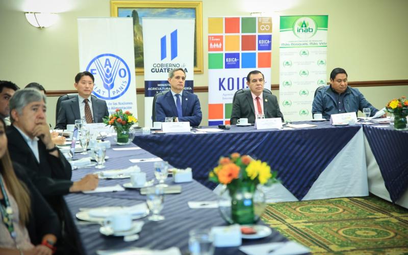 Tres departamentos de Guatemala avanzan en adaptación al cambio climático