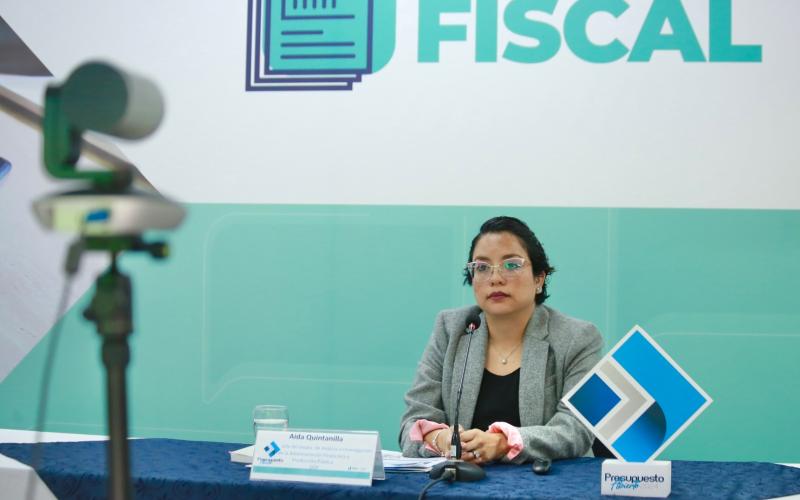 Clasificadores Presupuestarios 