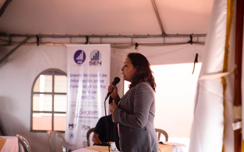 SEPREM e INE realizan Reunión Ordinaria sobre el Sistema Nacional de Información sobre Violencia en contra de la Mujer