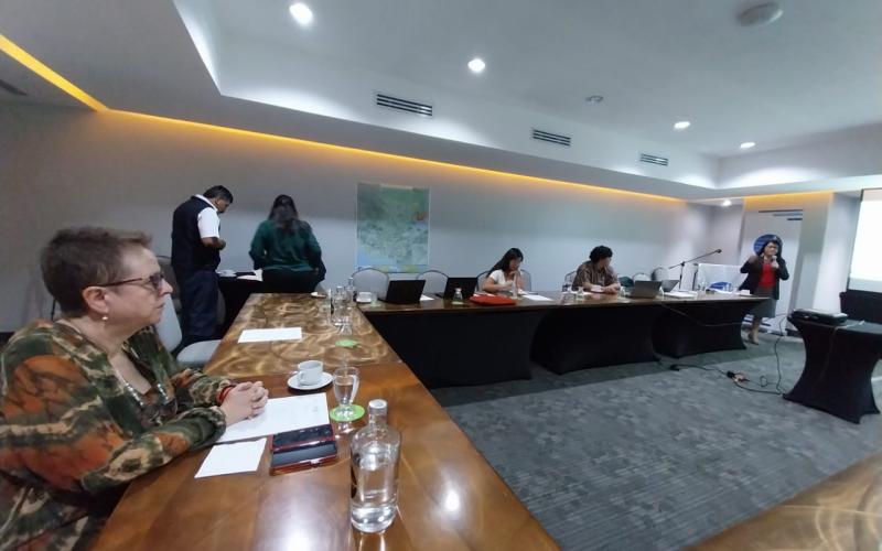 SEPREM e INE integran comité de expertas para asesorar a equipo técnico para la ENCABIH