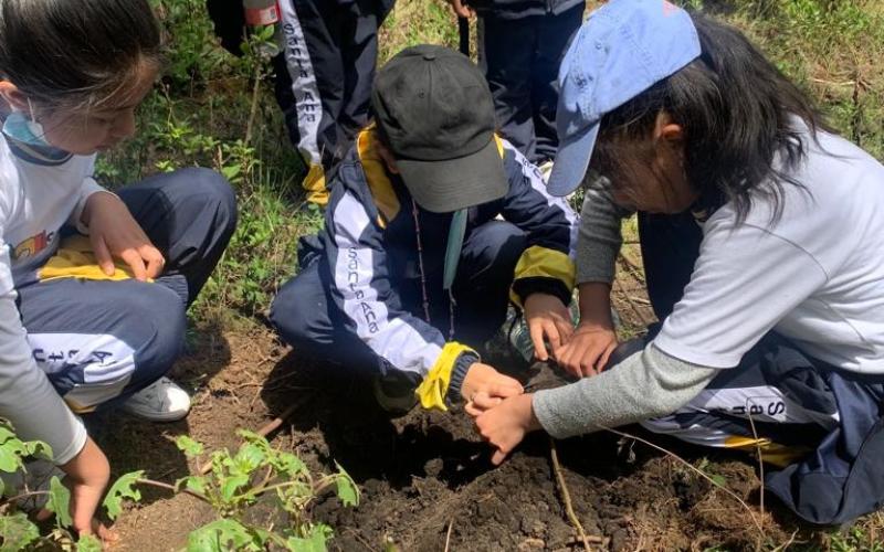 Niños de San Pedro Sacatepéquez reforestan el bosque municipal