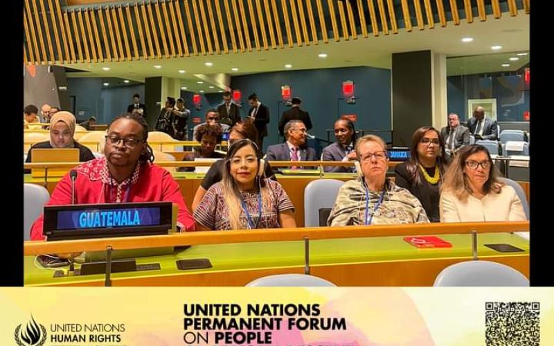 SEPREM y CODISRA presentes en Foro Permanente de los Afrodescendientes que se realiza en la sede de la Organización de Naciones Unidas en Nueva York 