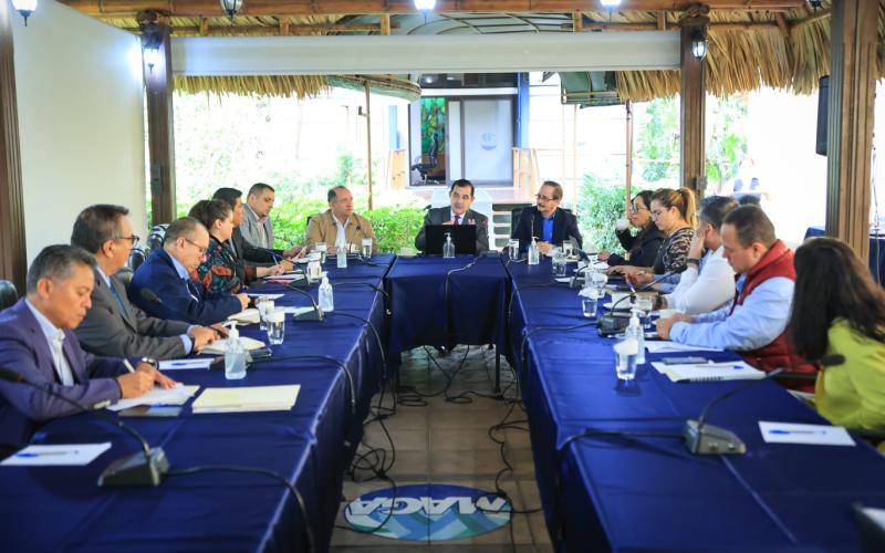 Guatemala modernizará los controles para prevenir el hongo que afecta al banano y plátano. 