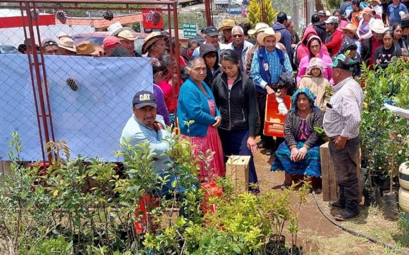 Campaña de reforestación en San Sebastián, San Marcos