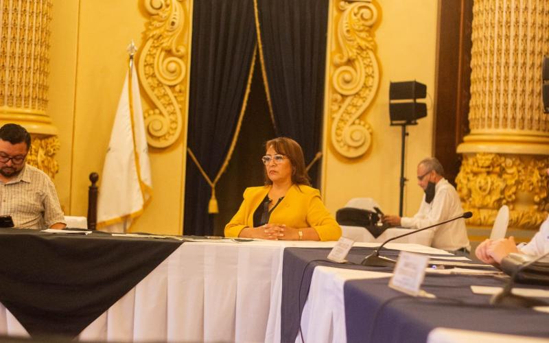 Subsecretaria Presidencial de la Mujer participa en reunión del PreConadur